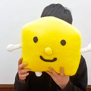 F.Aさんの写真