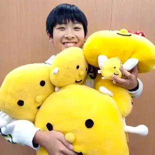 髙木 丈瑠さんの写真