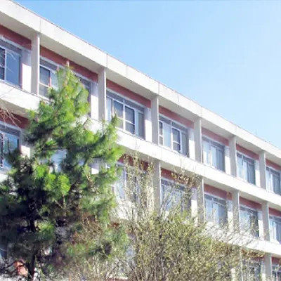 中学受験しない子が、小学生のうちに上位高校・大学進学に向けて準備するべきこと