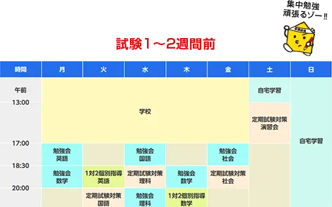 試験1~2週間前